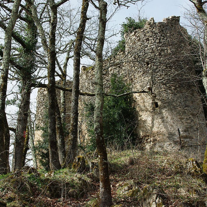 Photo de Château de la Garde également sur commune de Ustou