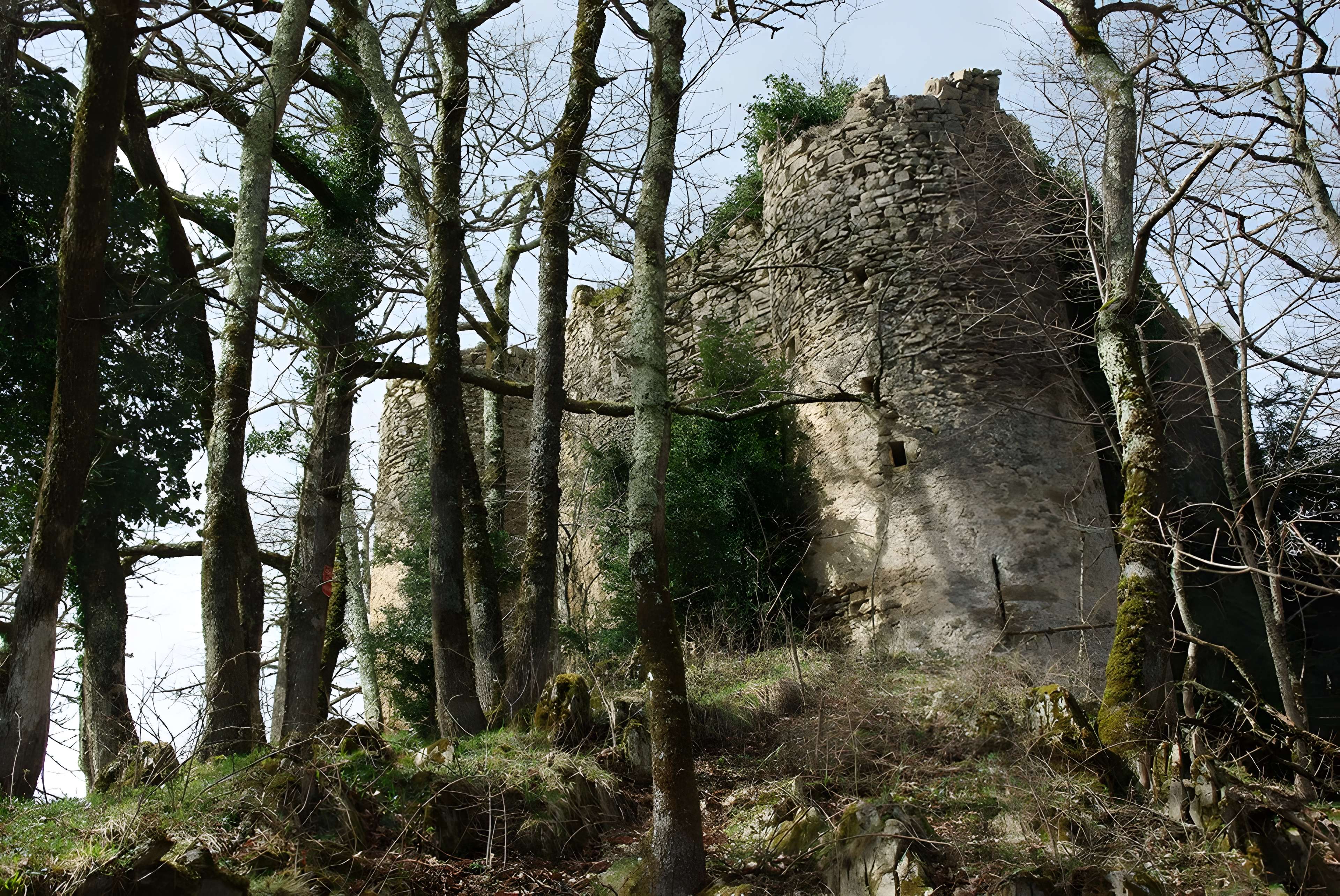 Château de la Garde à Ustou