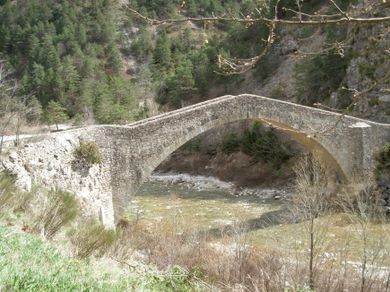 Photo de Pont de la Reine Jeanne à Saint-Benoît