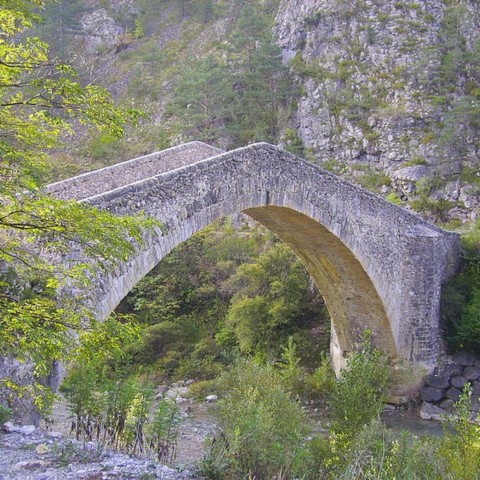 Photo de Pont de la Reine Jeanne à Saint-Benoît