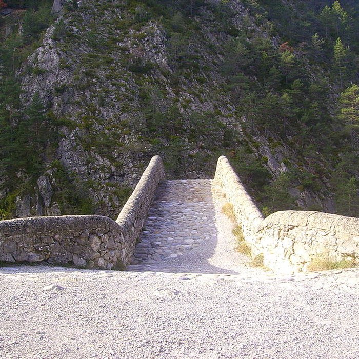 Photo de Pont de la Reine Jeanne à Saint-Benoît