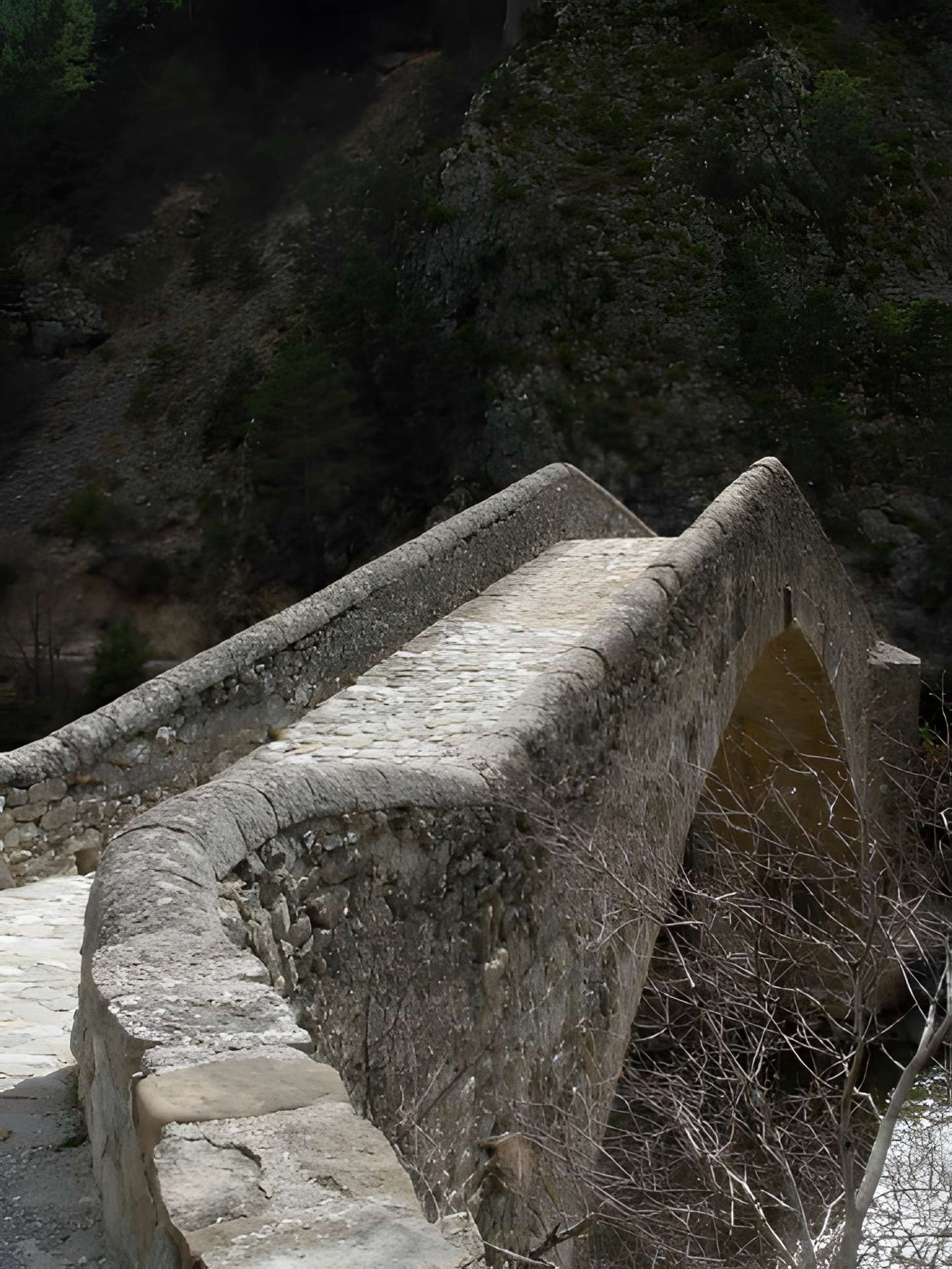Pont de la Reine Jeanne à Saint-Benoît