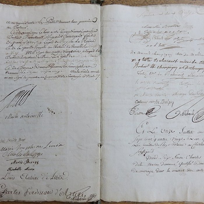 Photo de Château de la Hallière