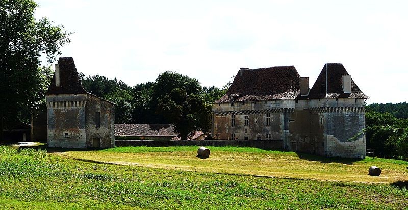 Photo de Château de La Martinie
