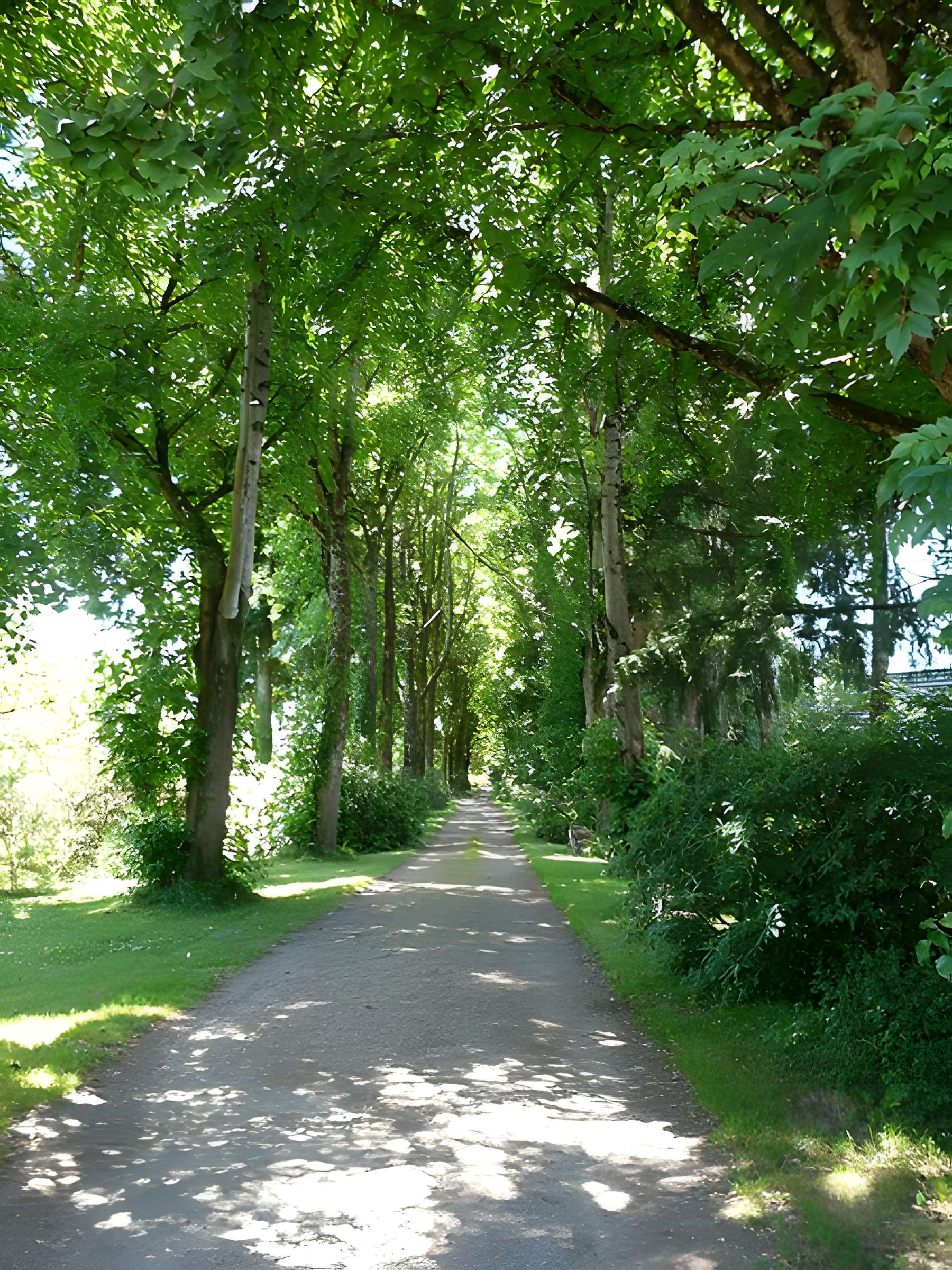 Château de la Morguie