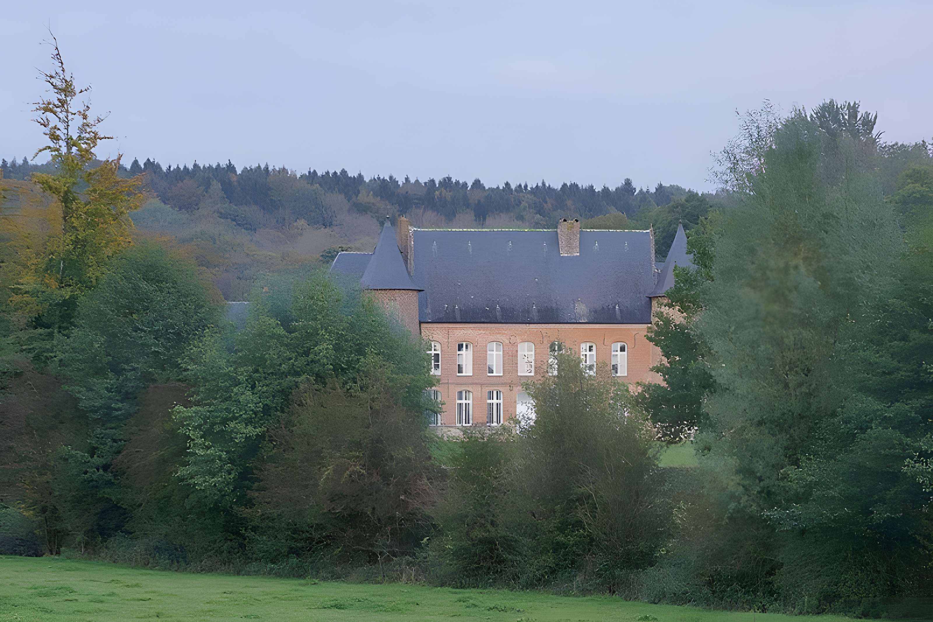 Château de la Plesnoye