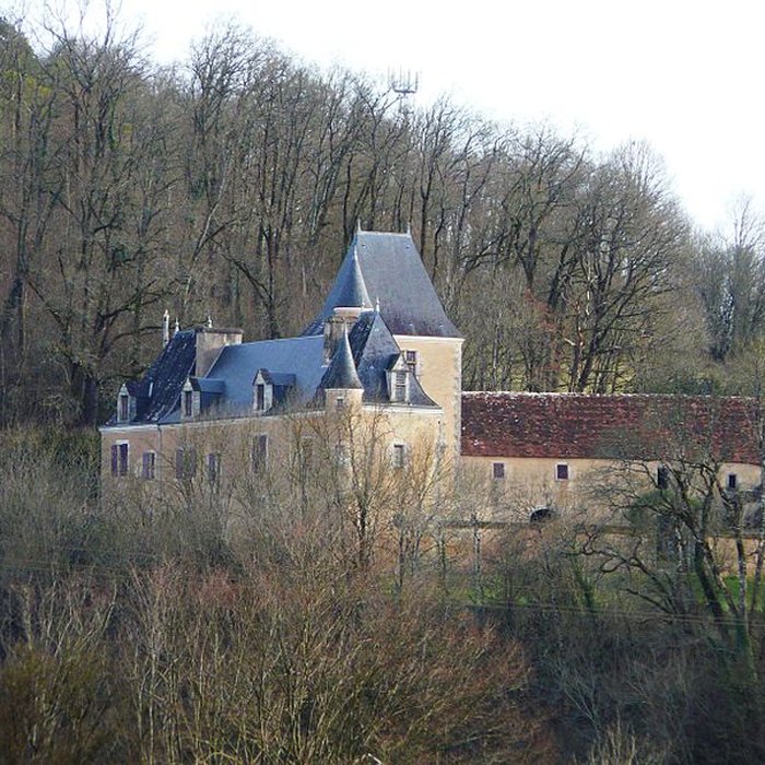 Photo de Château de la Reille