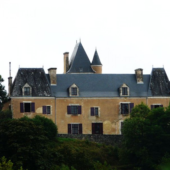 Photo de Château de la Reille