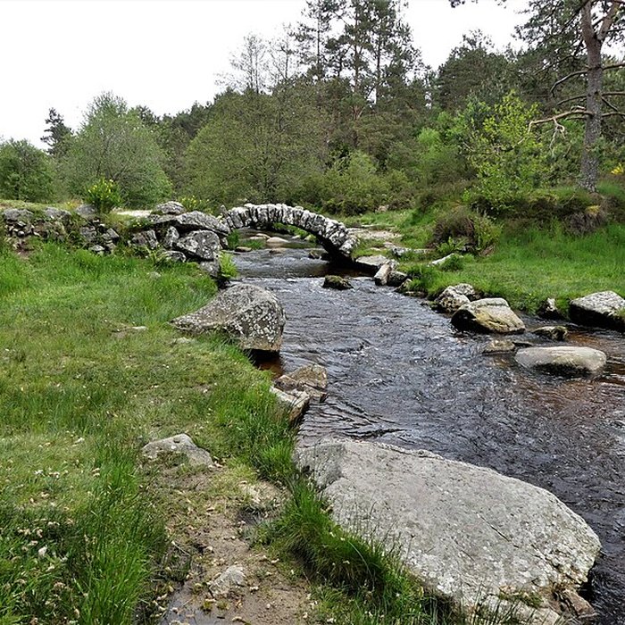 Photo de Pont de Senoueix à Gentioux-Pigerolles