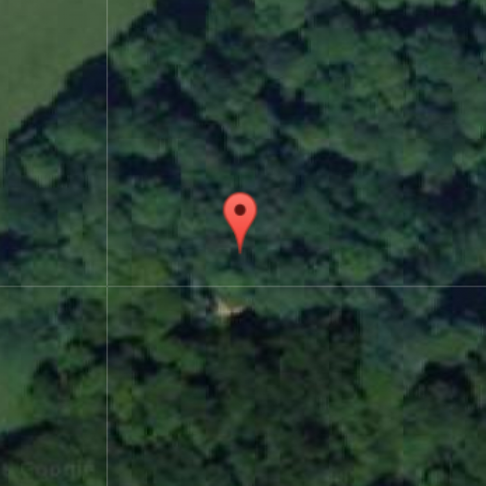 Photo de Ruines du château de la Roche-Montbourcher