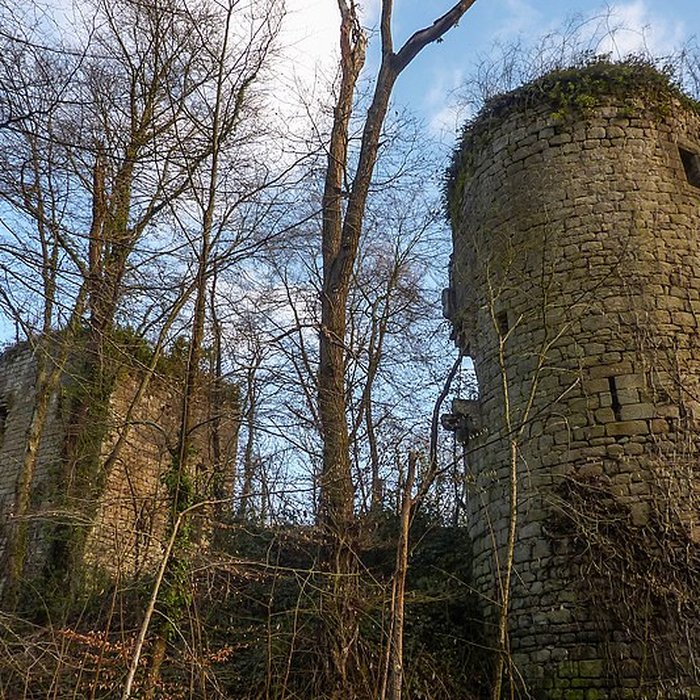 Photo de Ruines du château de la Roche-Montbourcher