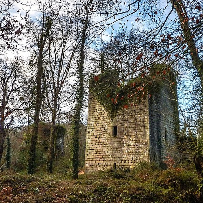 Photo de Ruines du château de la Roche-Montbourcher