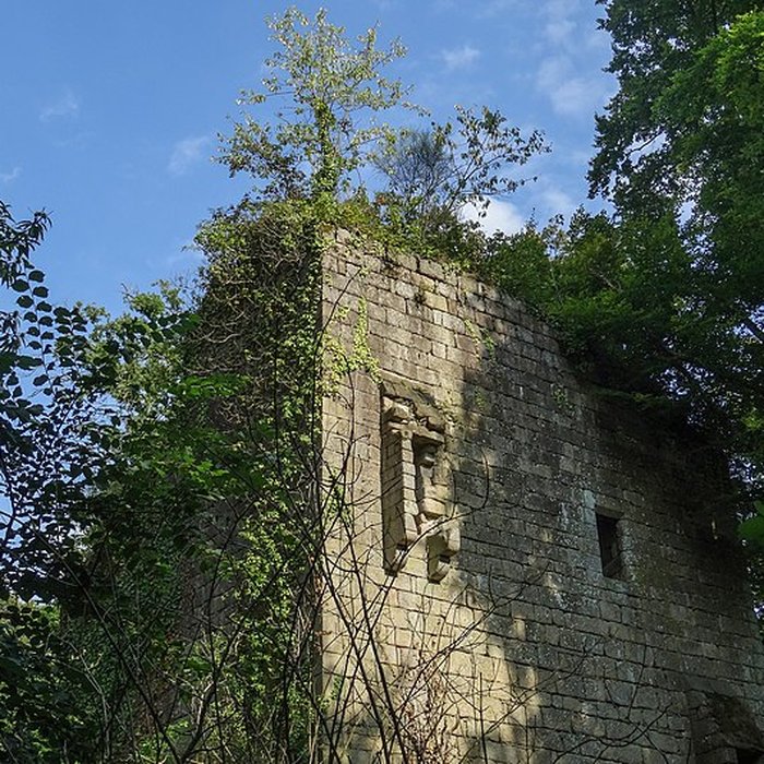 Photo de Ruines du château de la Roche-Montbourcher
