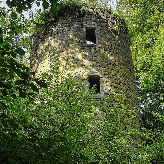 Photo de Ruines du château de la Roche-Montbourcher