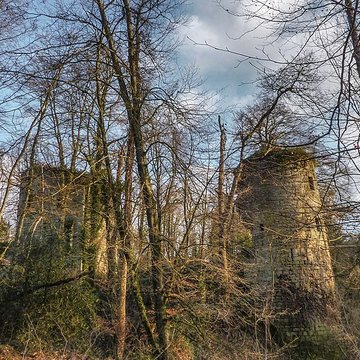 Ruines du château de la Roche-Montbourcher