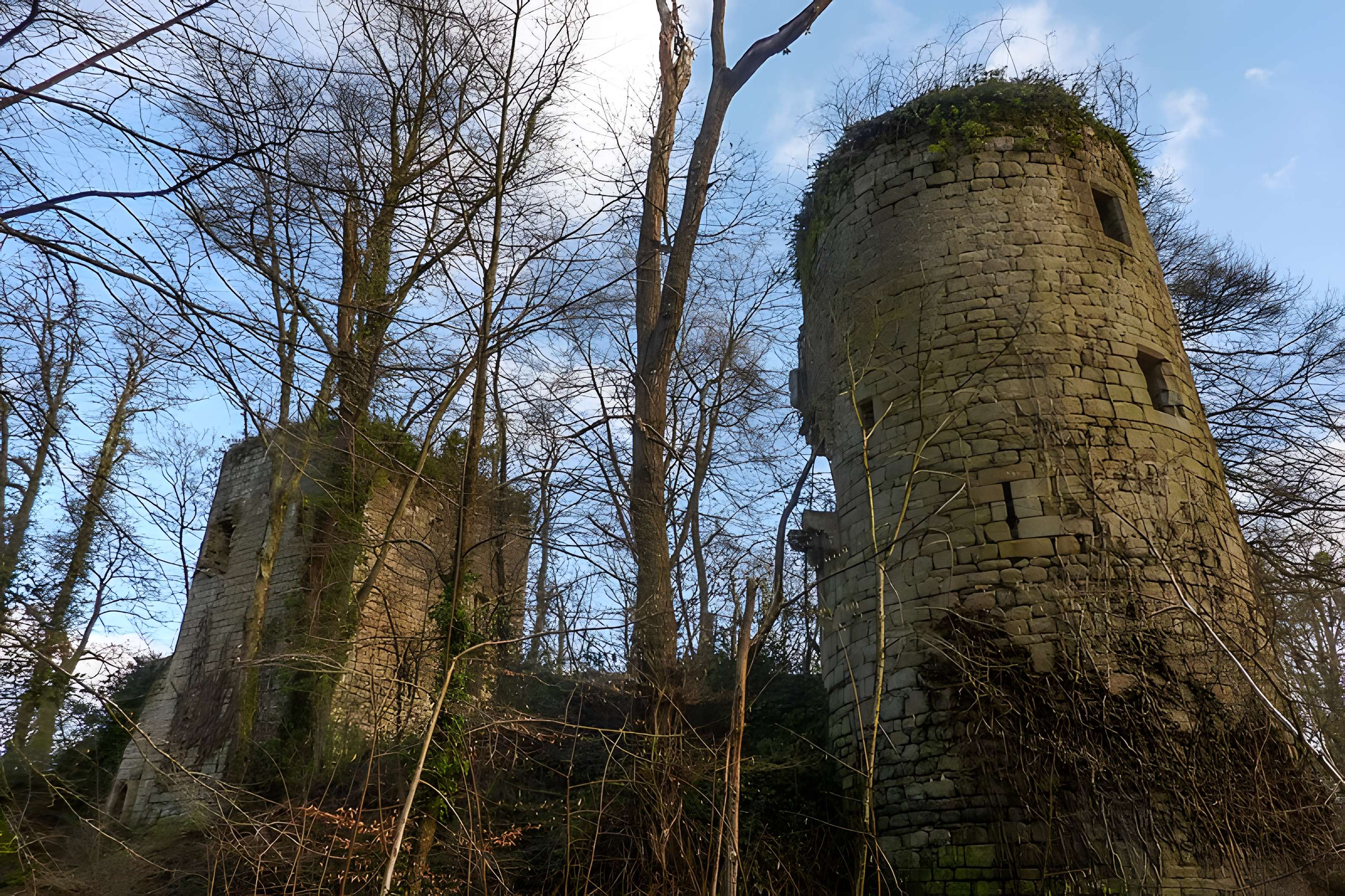 Ruines du château de la Roche-Montbourcher