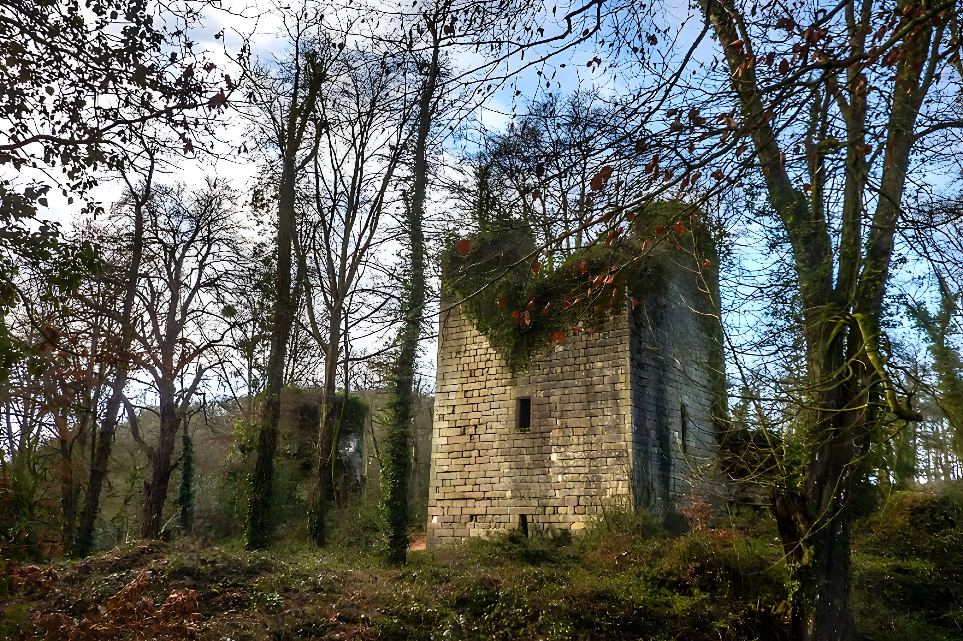 Ruines du château de la Roche-Montbourcher