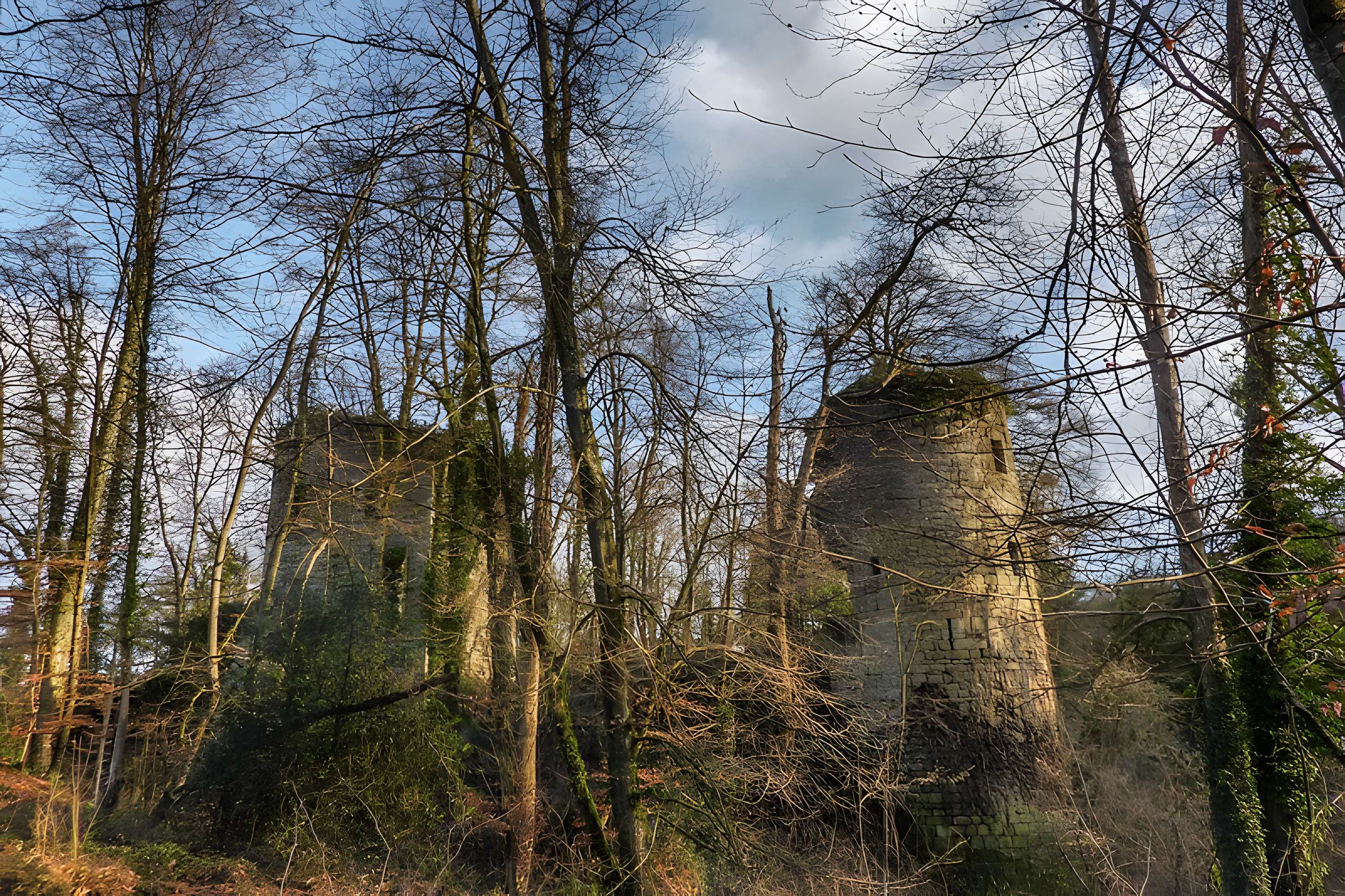 Ruines du château de la Roche-Montbourcher