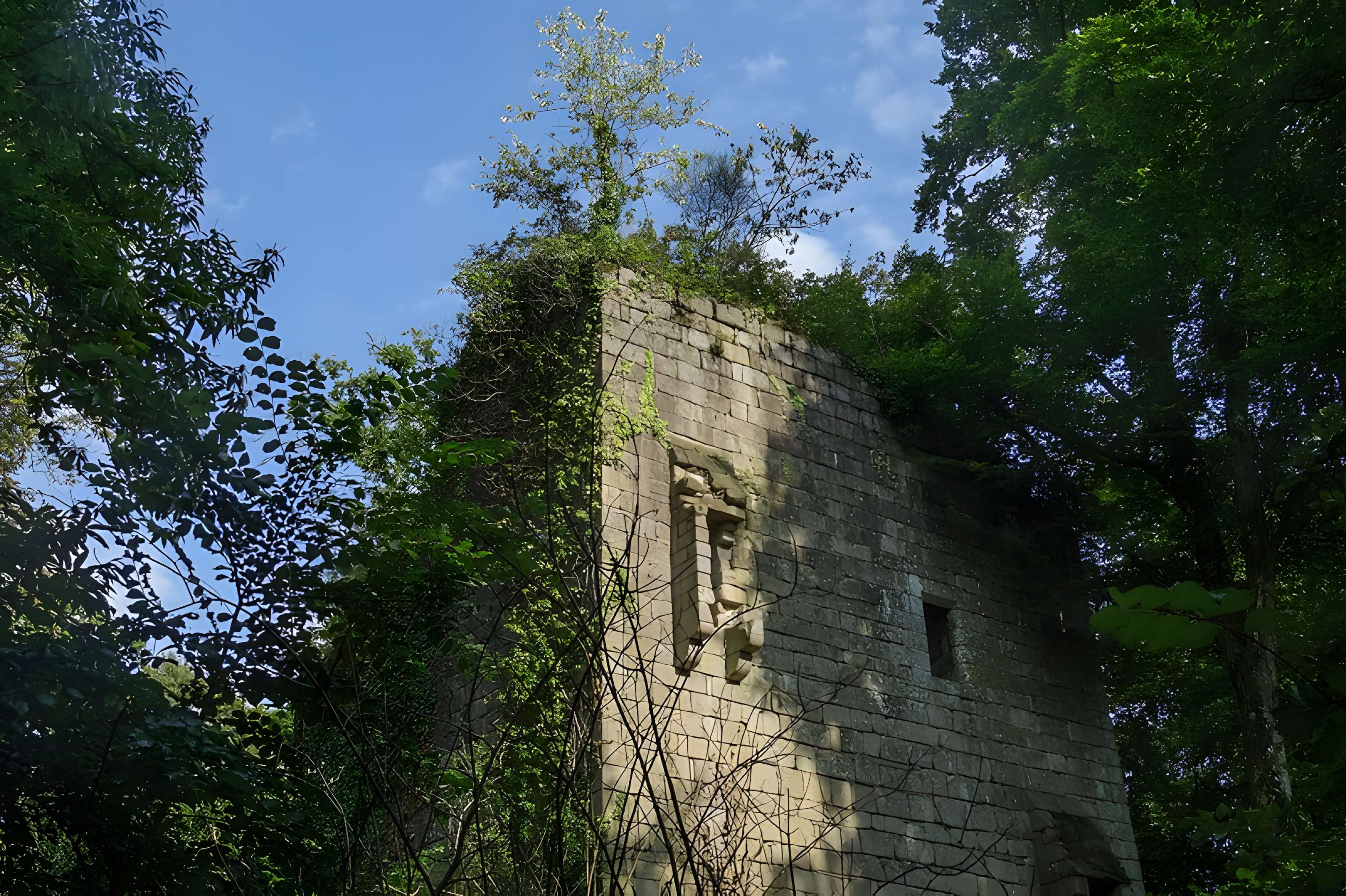 Ruines du château de la Roche-Montbourcher