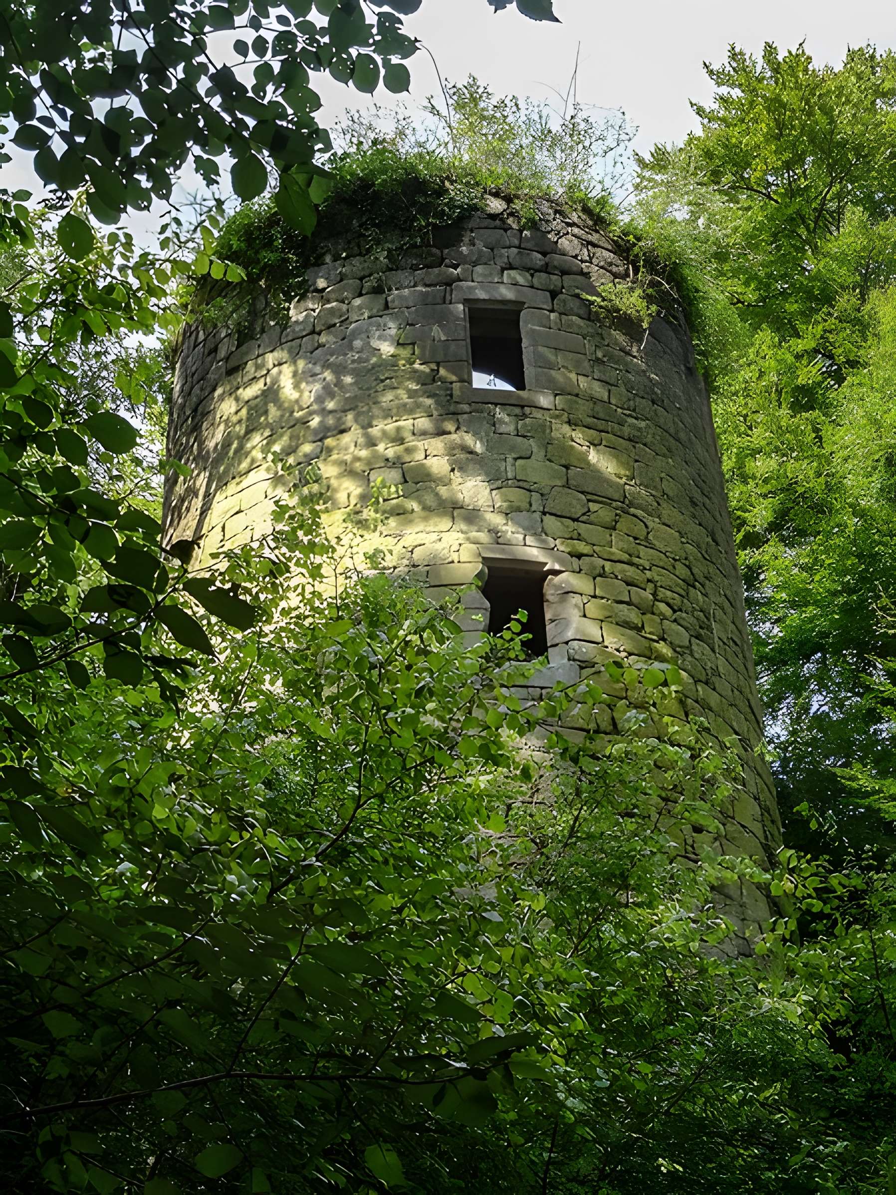 Ruines du château de la Roche-Montbourcher