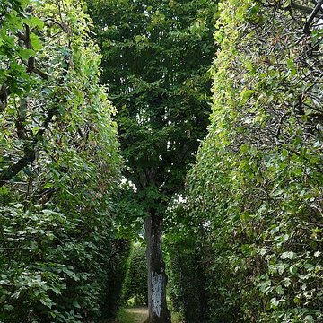 Château de la Rongère
