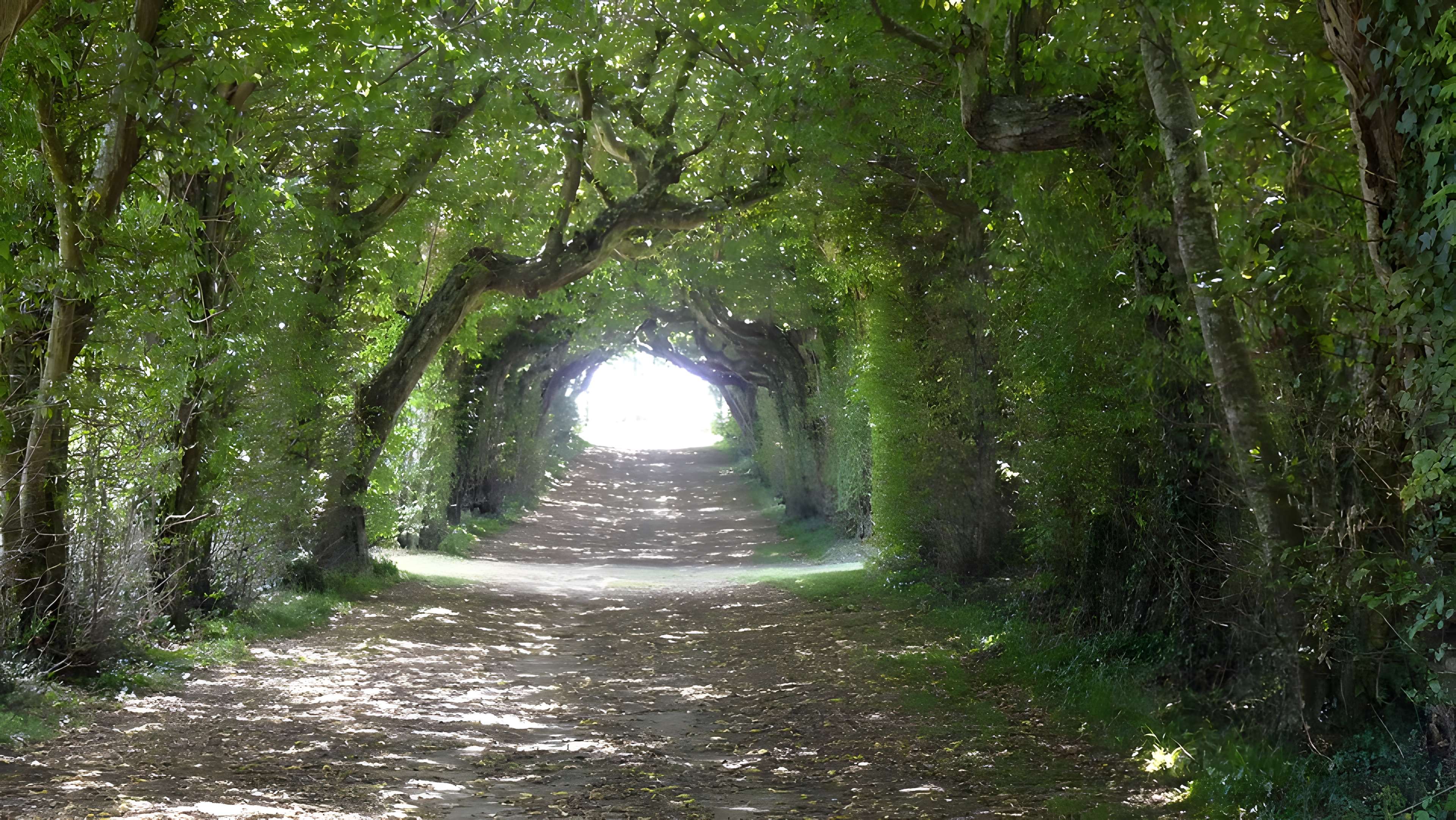 Château de la Rongère