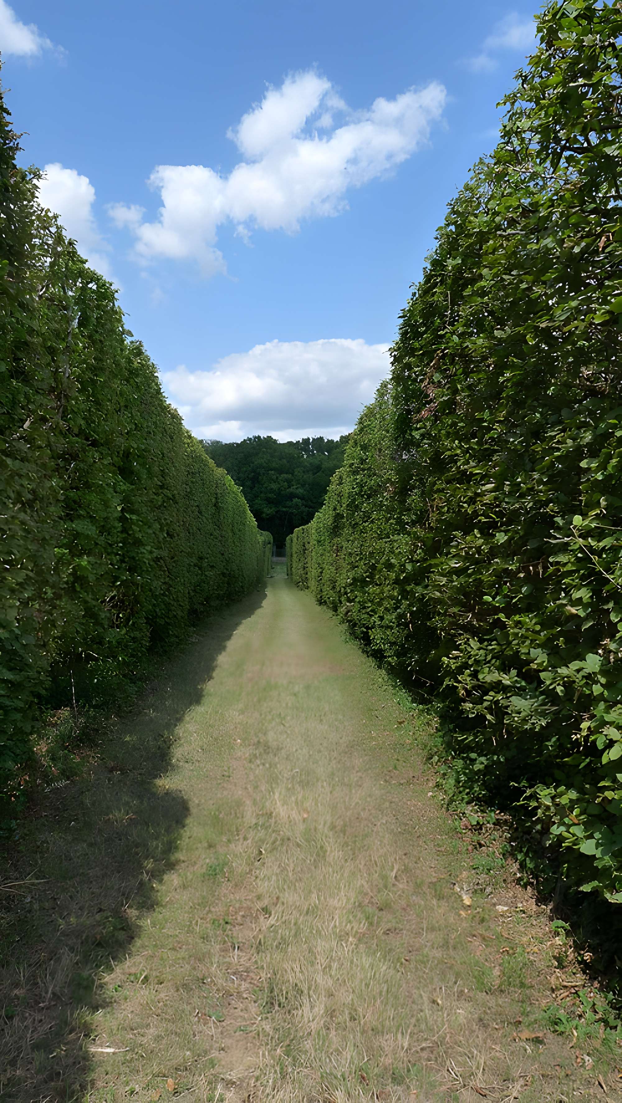 Château de la Rongère