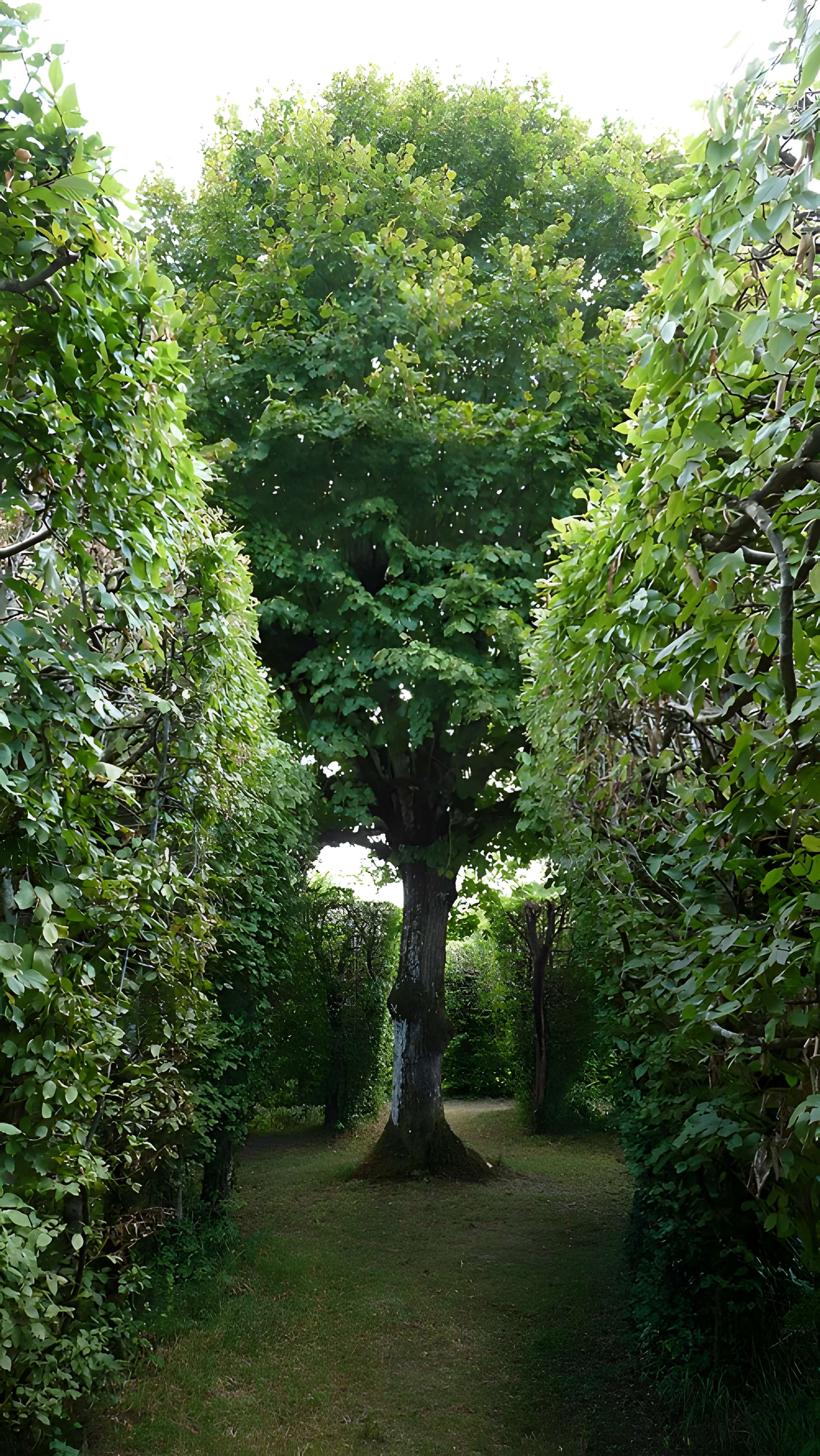Château de la Rongère