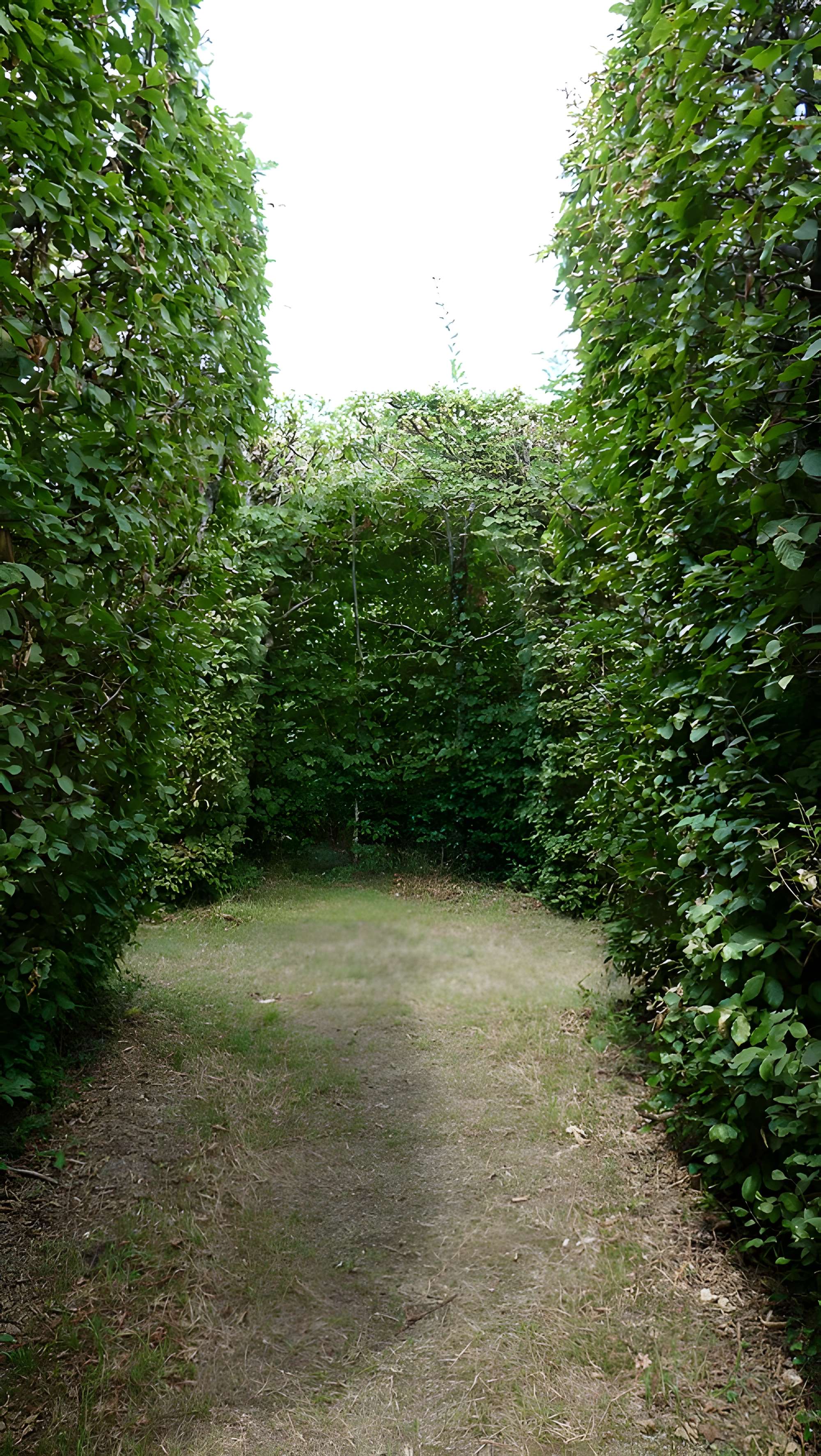 Château de la Rongère