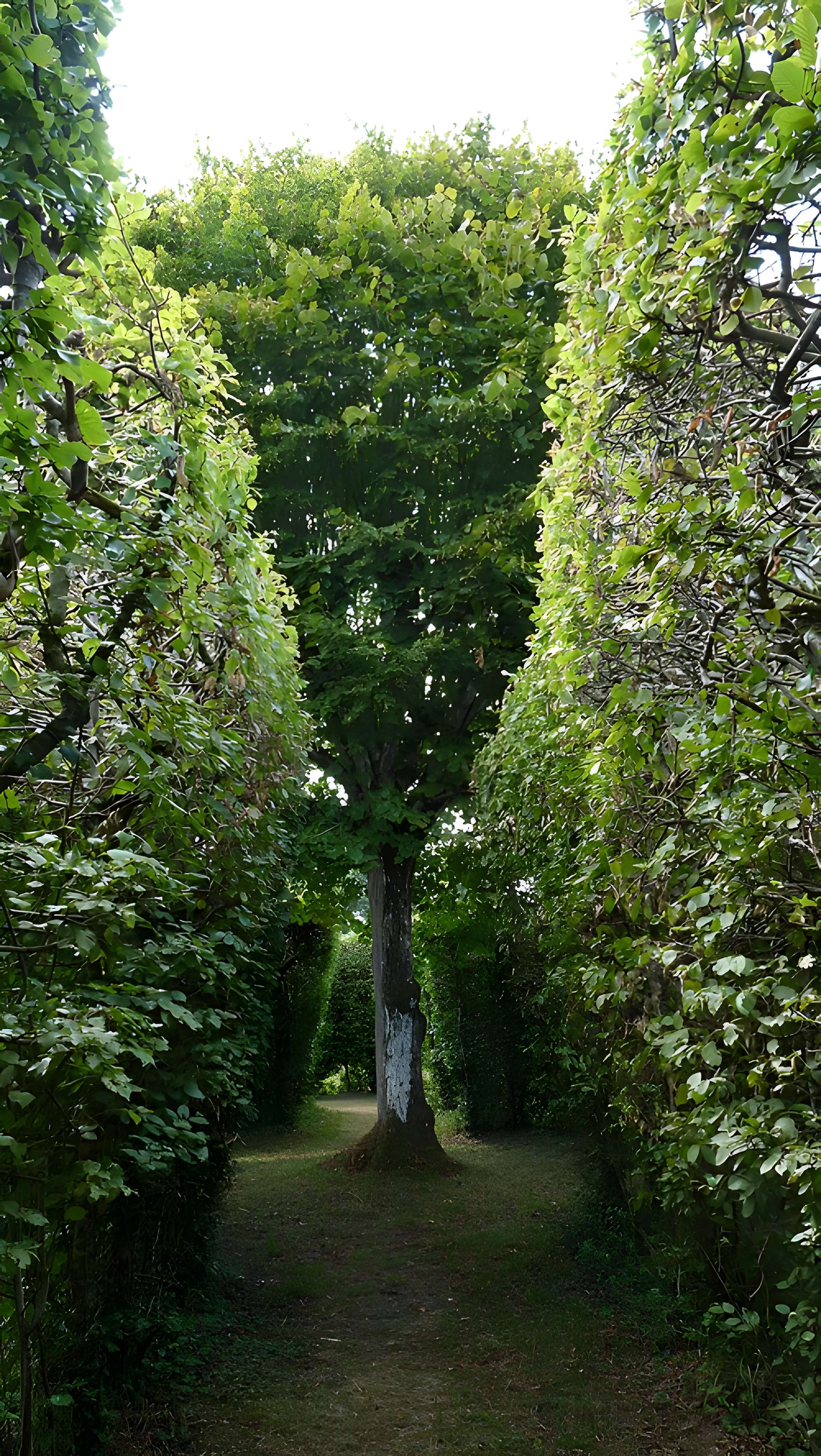 Château de la Rongère