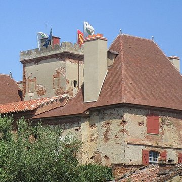 Château de la Salvetat-Saint-Gilles