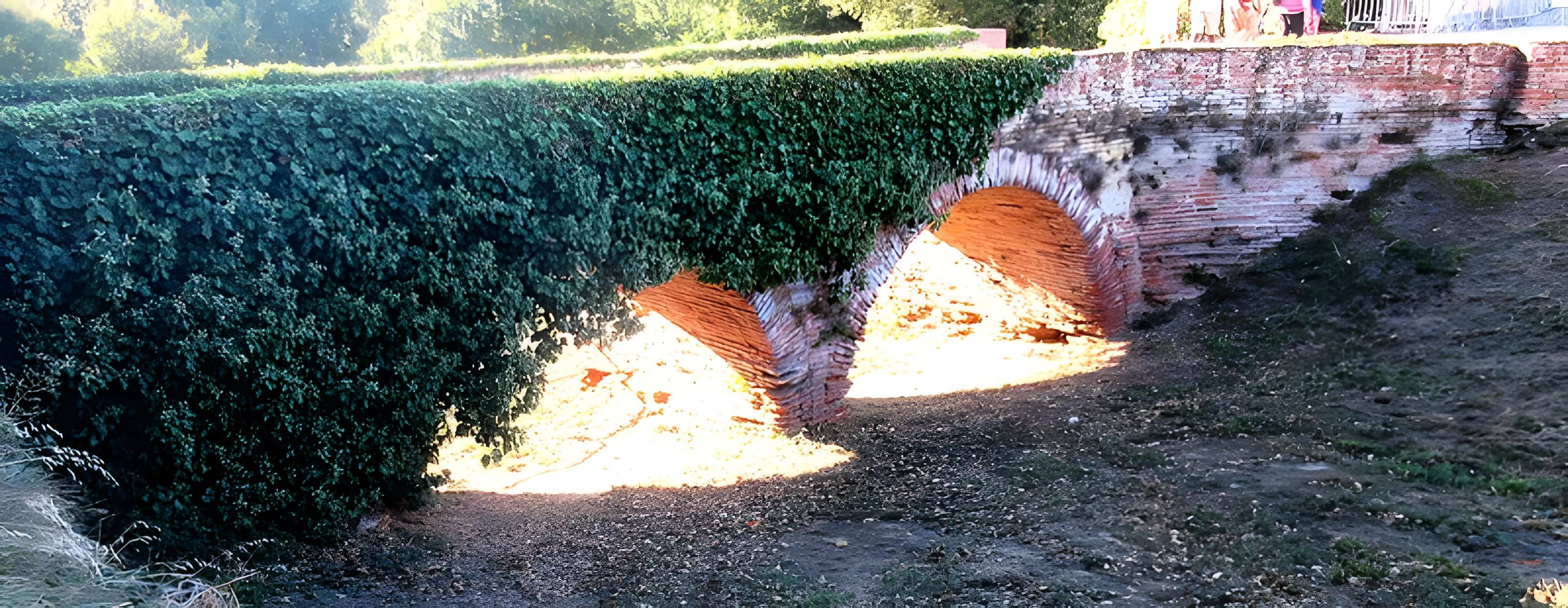 Château de la Salvetat-Saint-Gilles