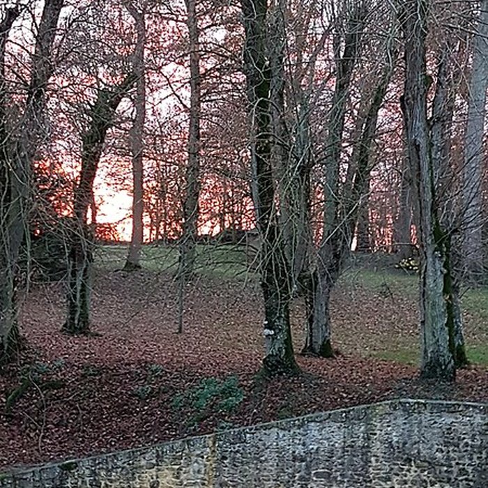 Photo de Château de la Sauvagère