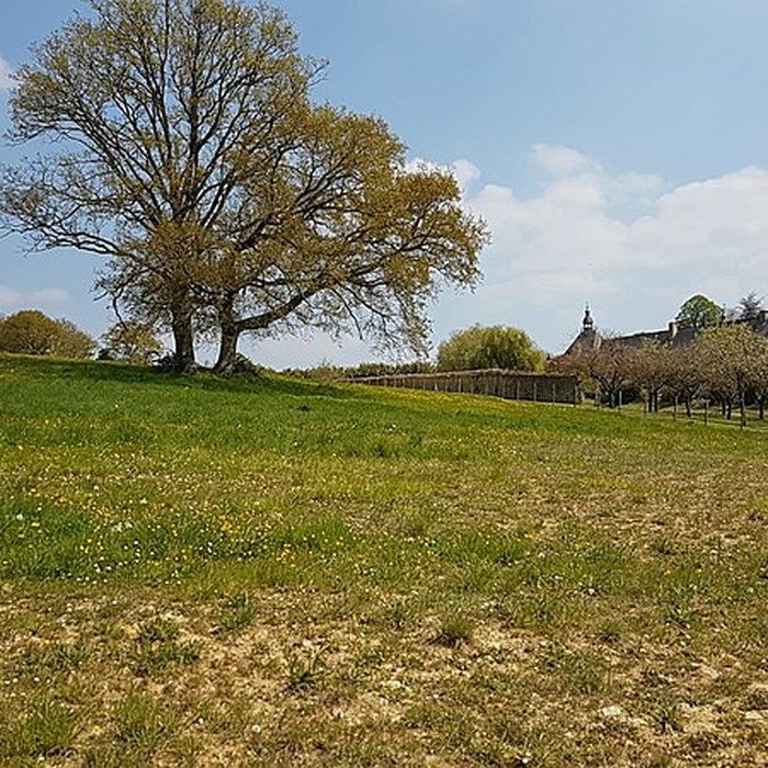 Photo de Château de la Sauvagère
