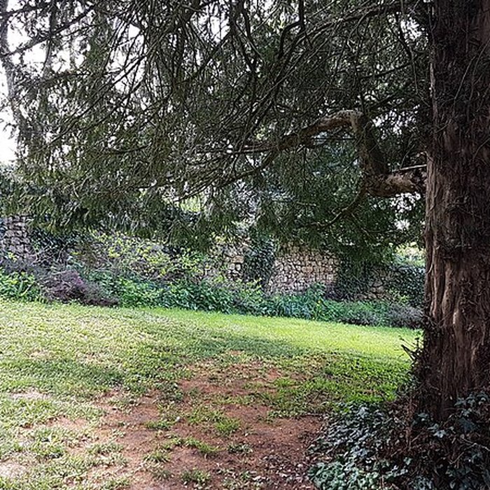 Photo de Château de la Sauvagère