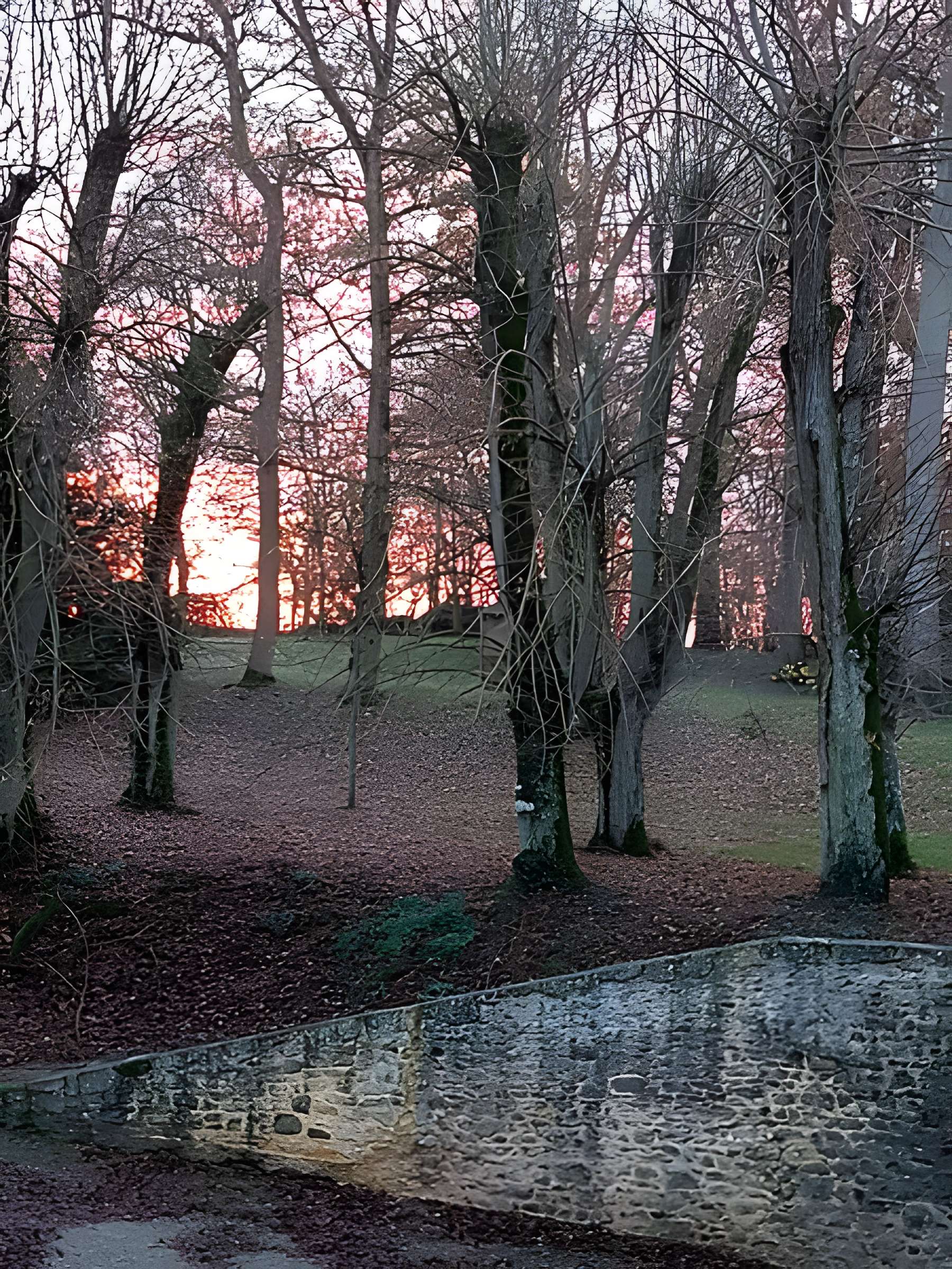 Château de la Sauvagère