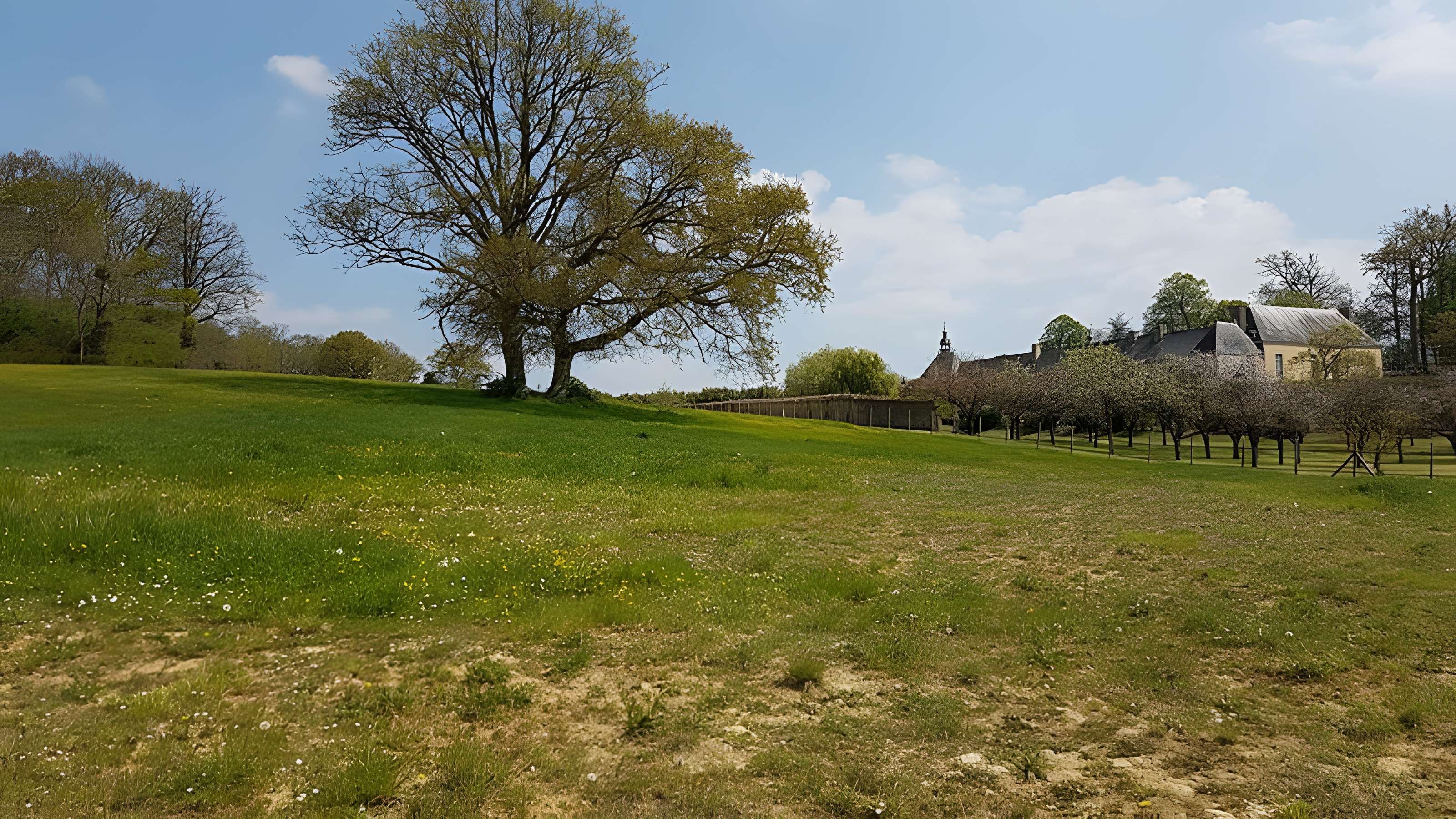 Château de la Sauvagère