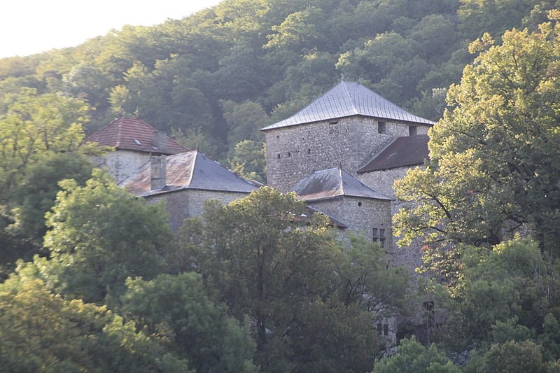 Photo de Château de la Serraz à Seillonnaz