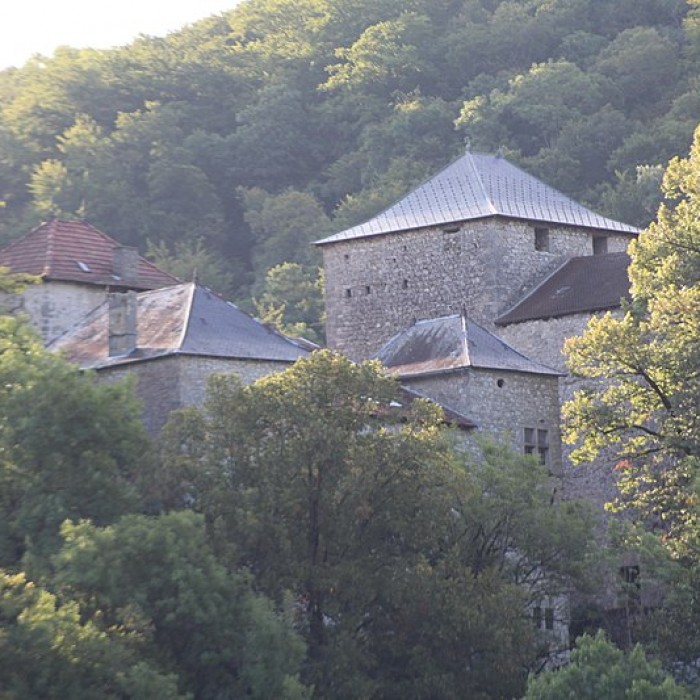 Photo de Château de la Serraz à Seillonnaz
