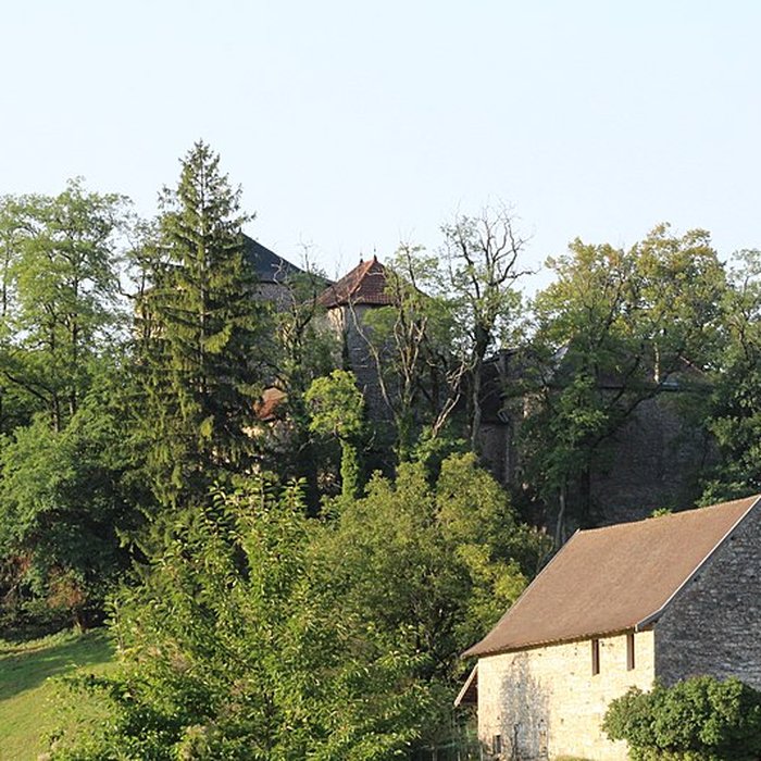 Photo de Château de la Serraz à Seillonnaz