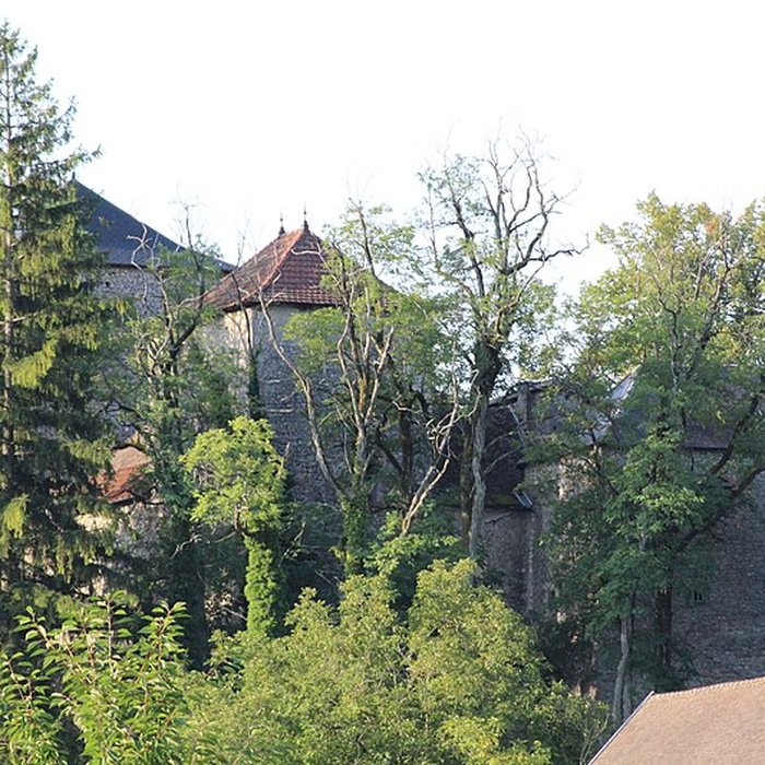 Photo de Château de la Serraz à Seillonnaz