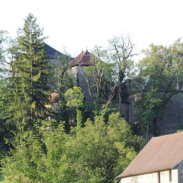 Photo de Château de la Serraz à Seillonnaz