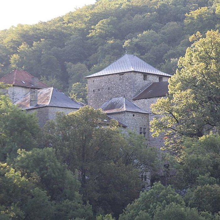 Photo de Château de la Serraz à Seillonnaz