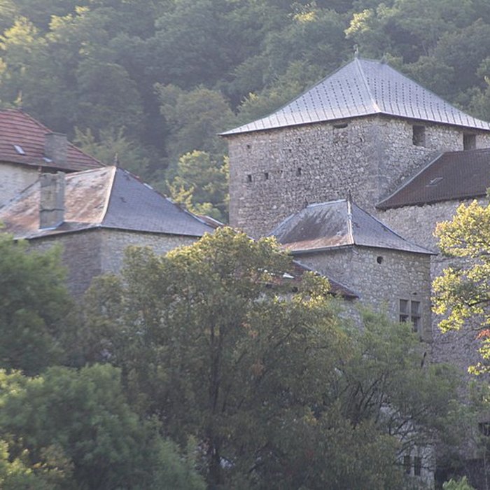 Photo de Château de la Serraz à Seillonnaz