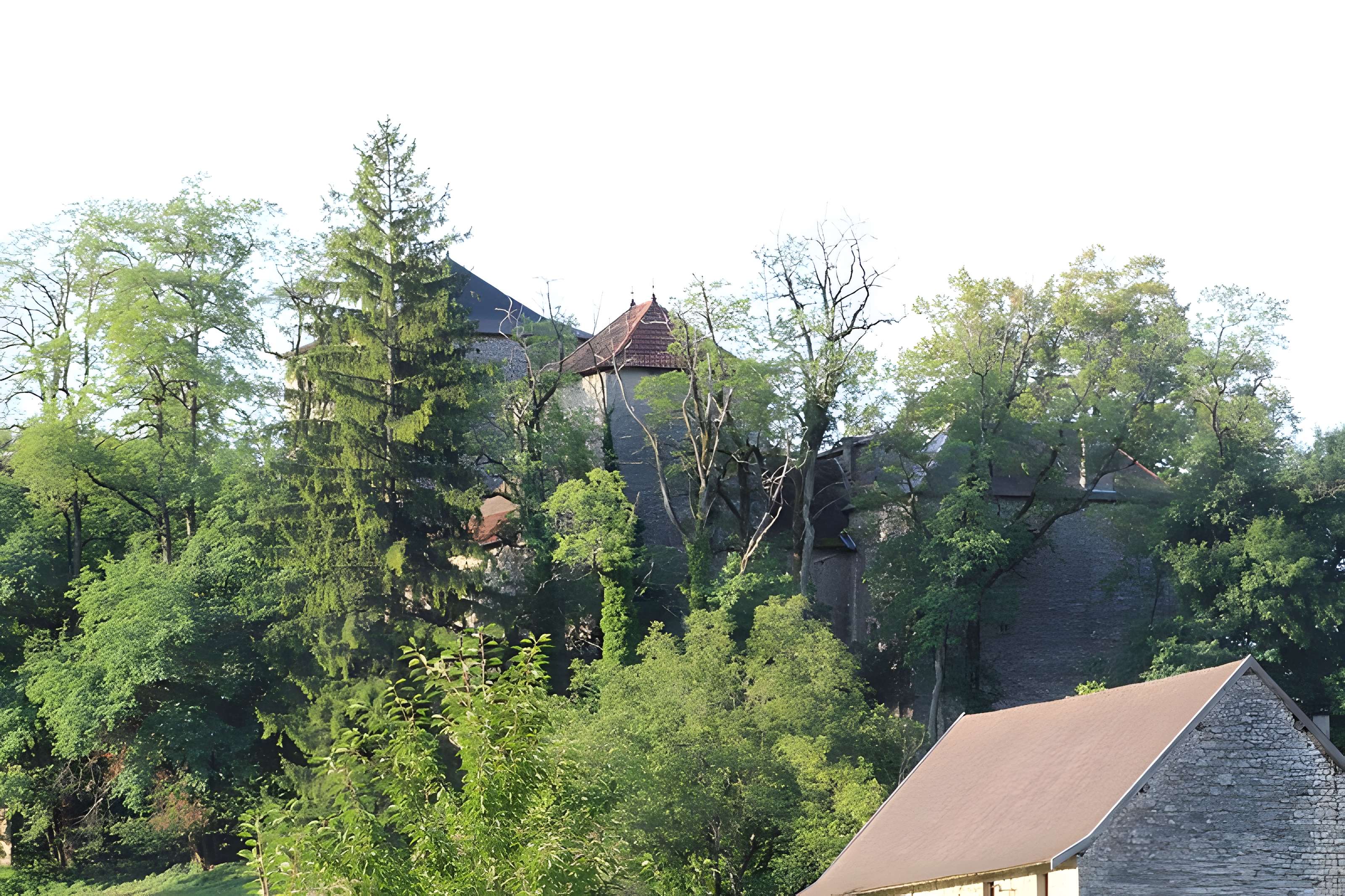 Château de la Serraz à Seillonnaz