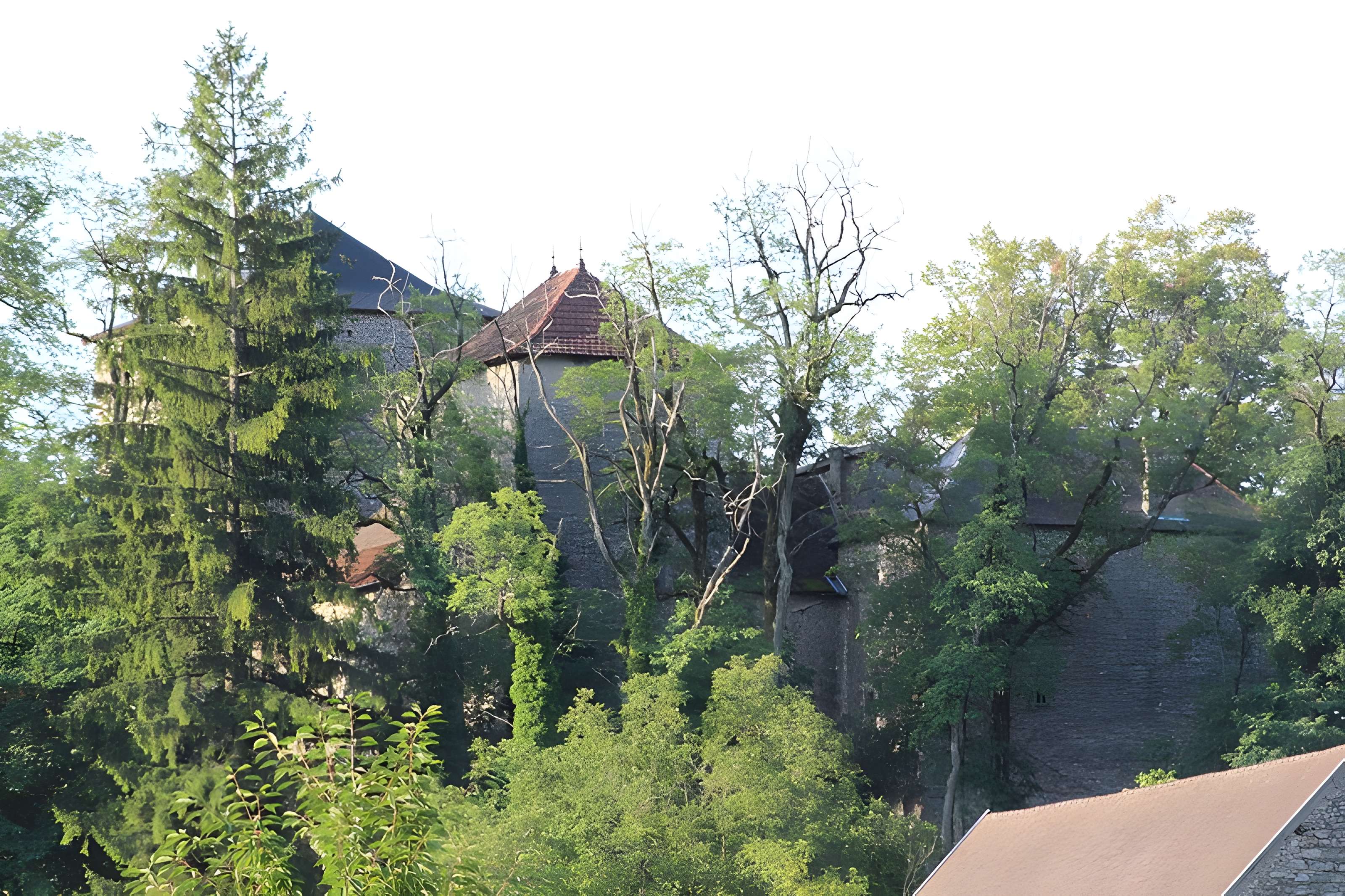 Château de la Serraz à Seillonnaz
