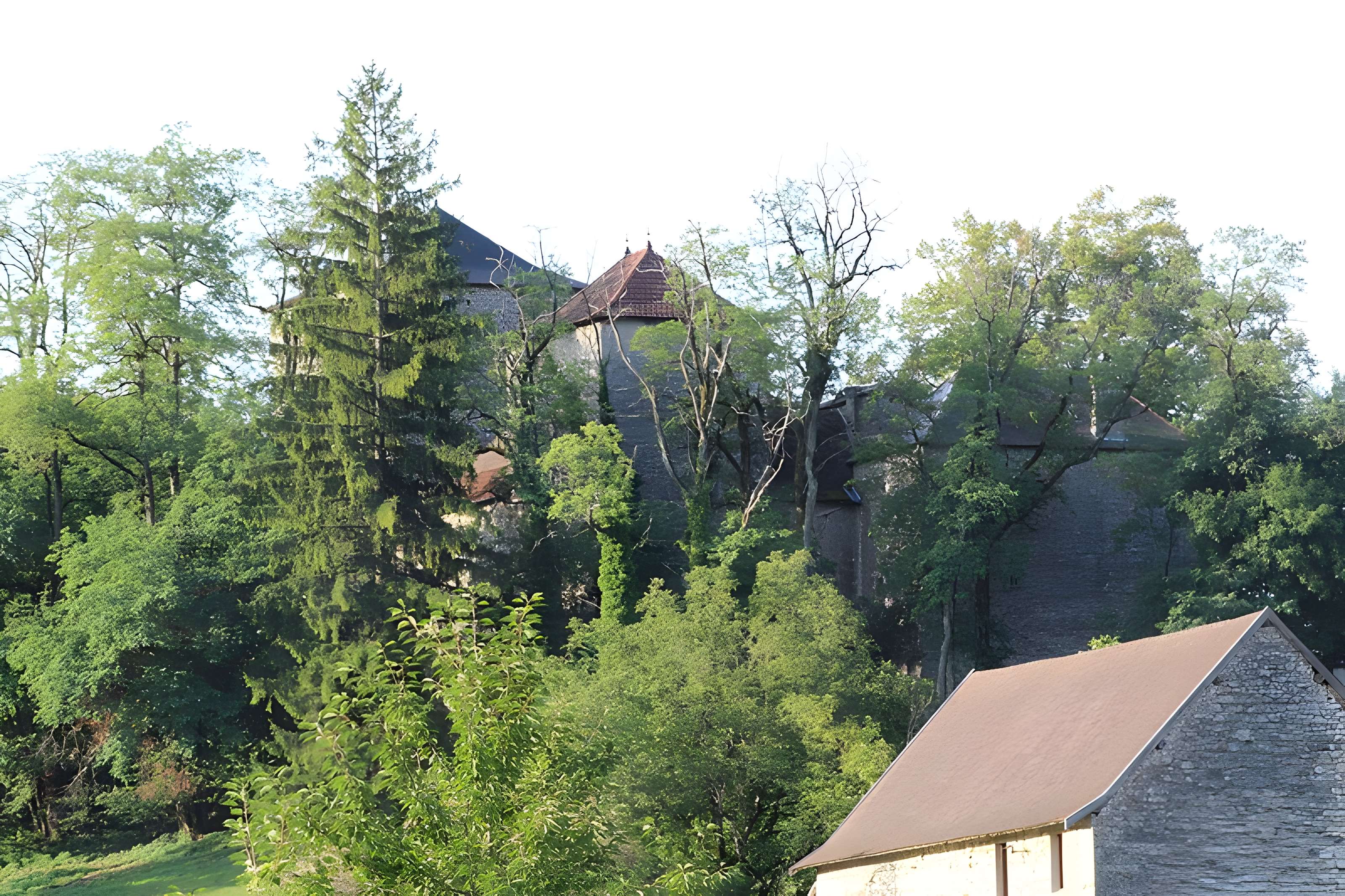 Château de la Serraz à Seillonnaz