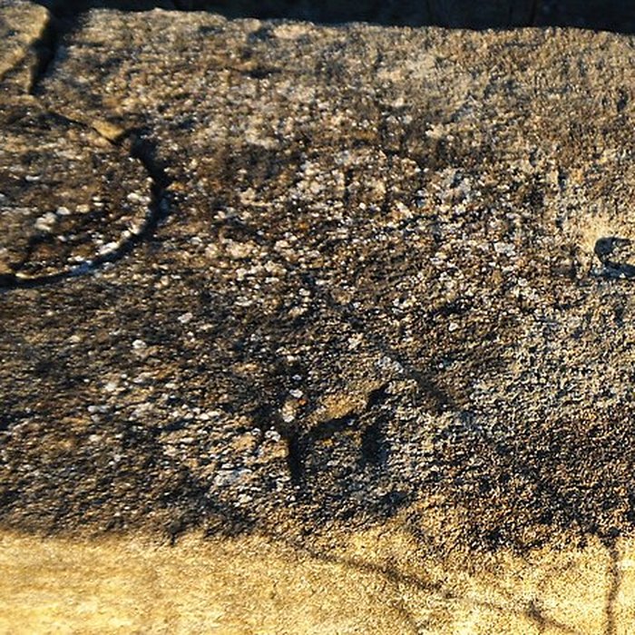 Photo de Pont des États de Languedoc à Ornaisons