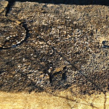 Pont des États de Languedoc à Ornaisons