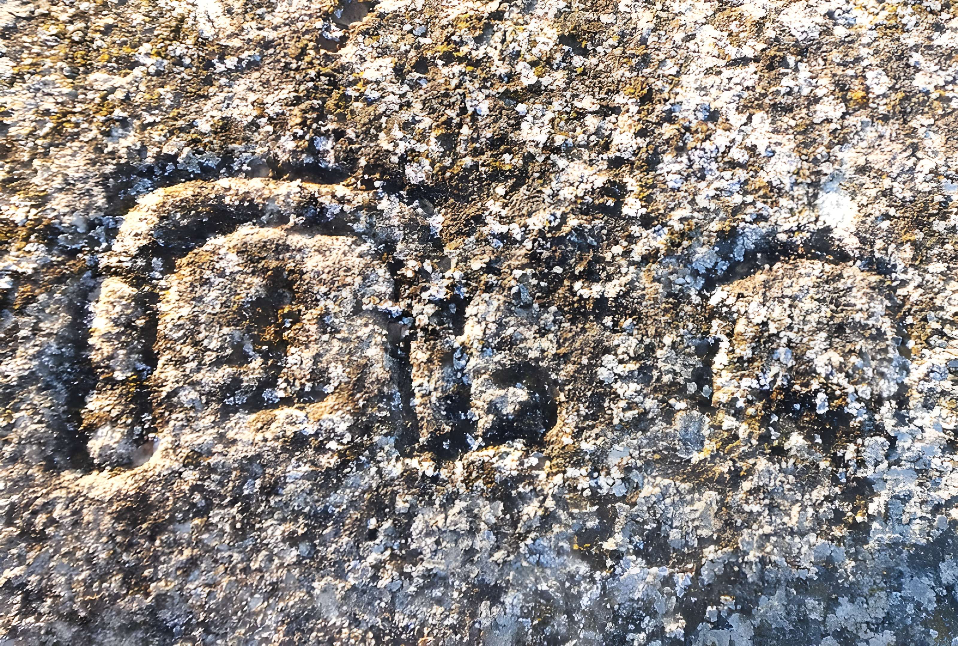 Pont des États de Languedoc à Ornaisons